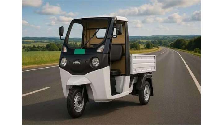 Bajaj Riki C4005 3 Wheelers
